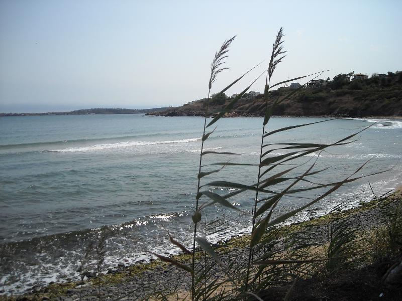 Black Sea Star Chernomorets Luaran gambar